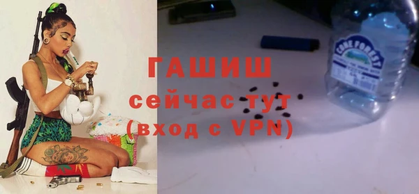 индика Баксан