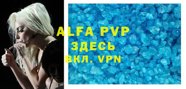 индика Баксан