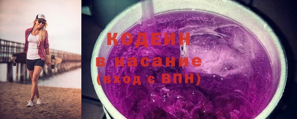 индика Баксан