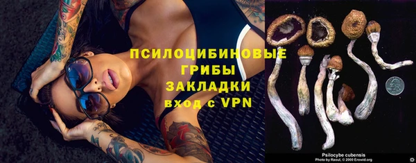 МДПВ Белокуриха