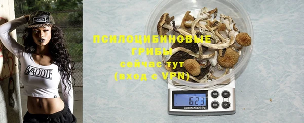 индика Баксан
