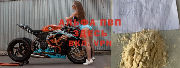 индика Баксан