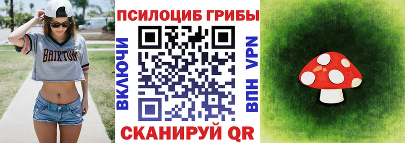 Галлюциногенные грибы Psilocybe  купить наркотики сайты  Еманжелинск 